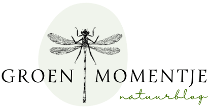 Groen Momentje